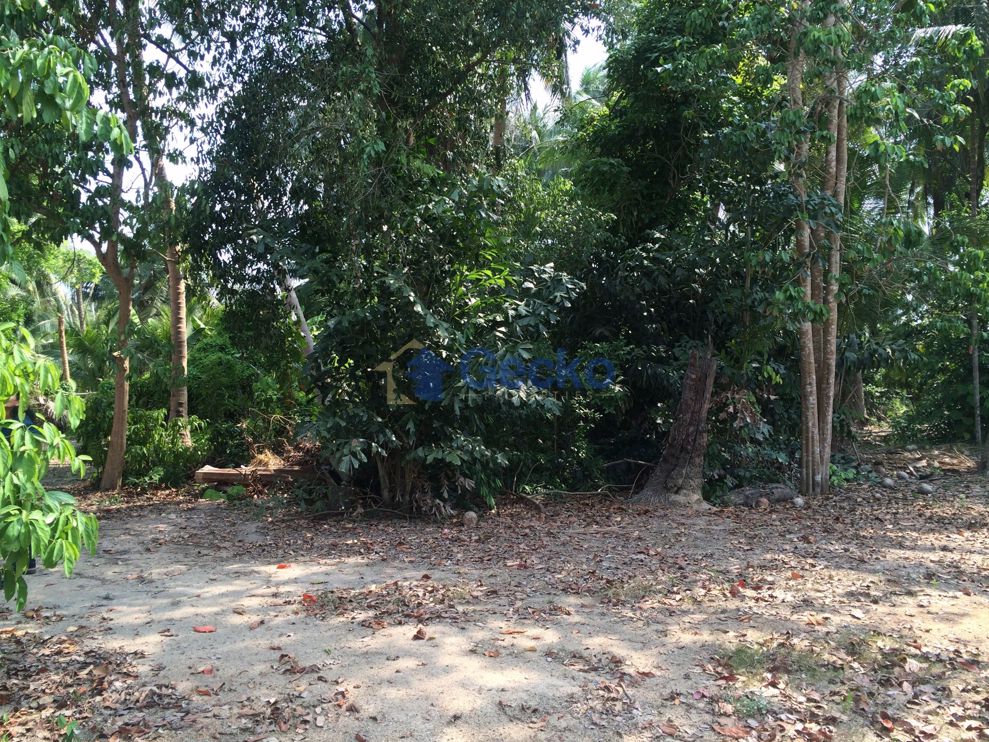 ที่ดิน available เข้า ห้วยใหญ่ L004845 (Photo 2)