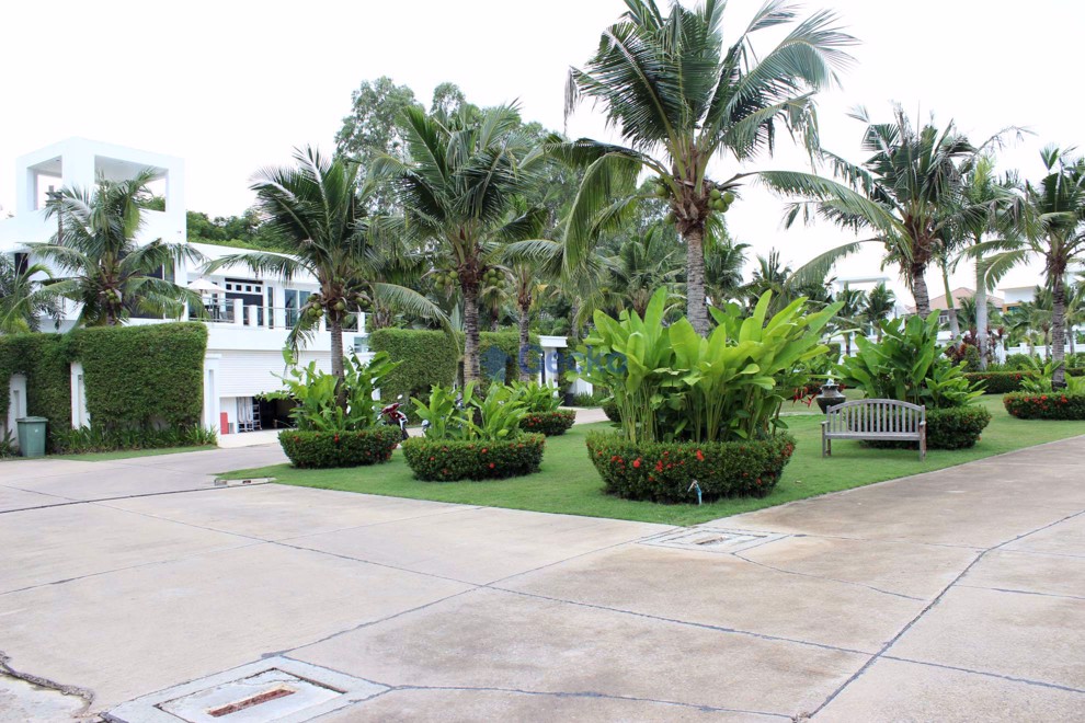 Palm Oasis (Photo 3)