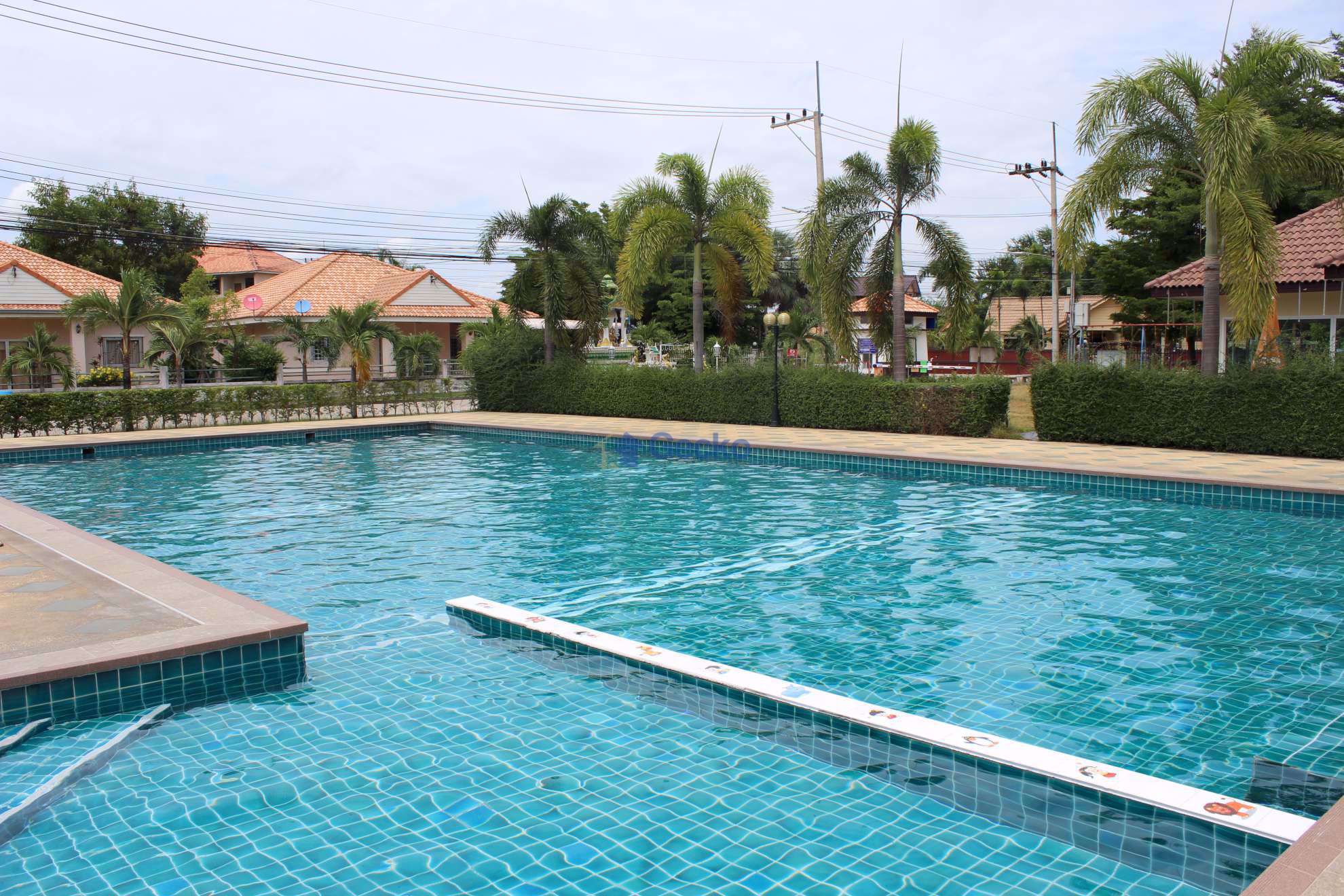 Pattaya Tropical