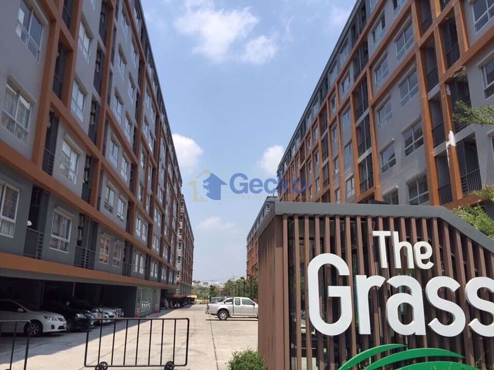 The Grass (Cover Photo)