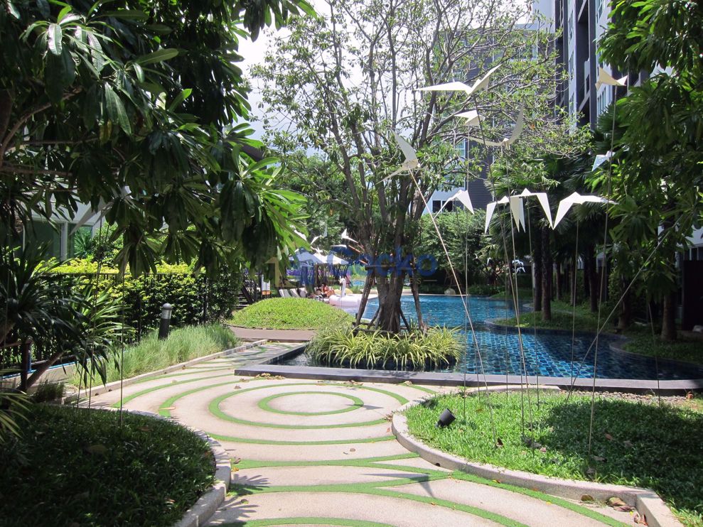 3 Bedrooms Condo in Natureza North Pattaya C009219 (Cover Photo)