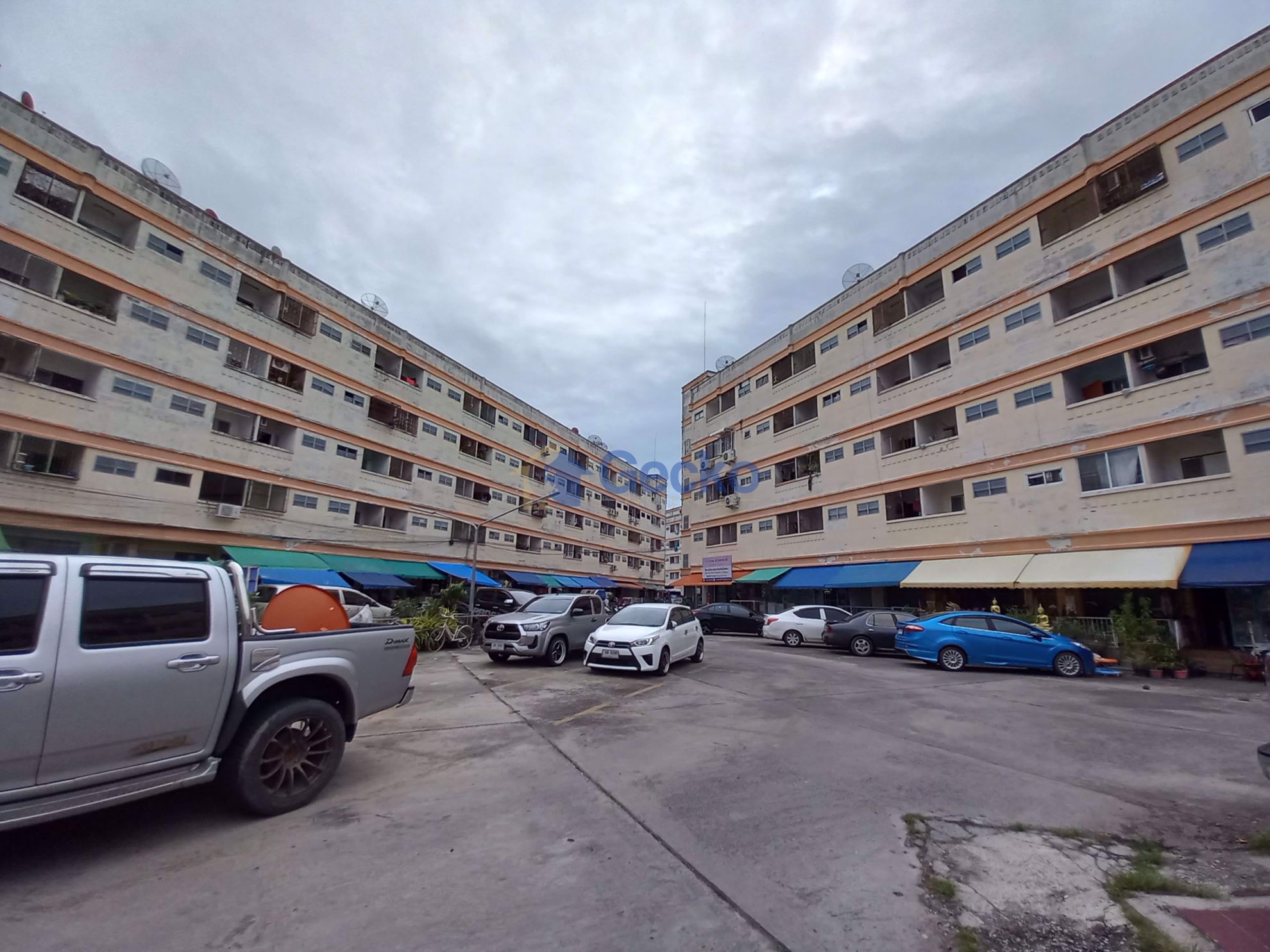 Fly Bird Condominium