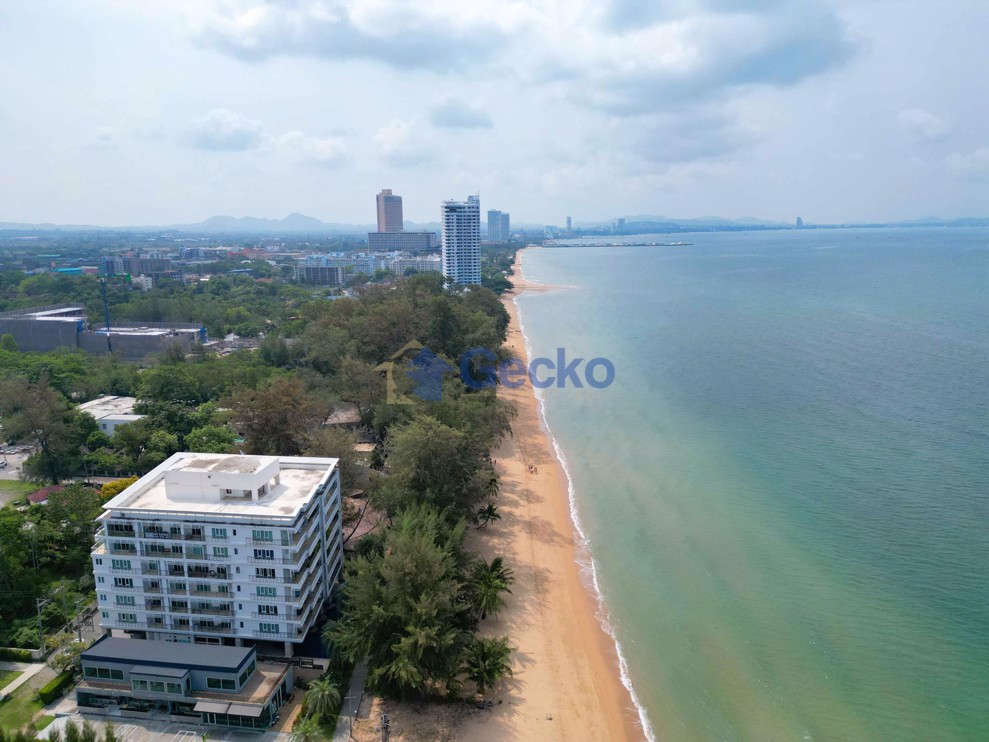Pine Shores (Photo 1)