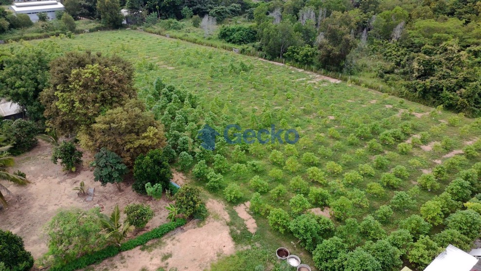 ที่ดิน available in พัทยาตะวันออก L012287 (Photo 2)