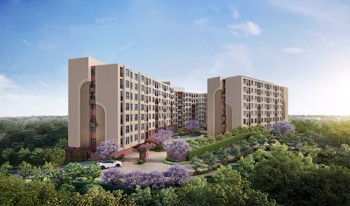 Studio Condo in Dcondo Vite Wongamat C013389